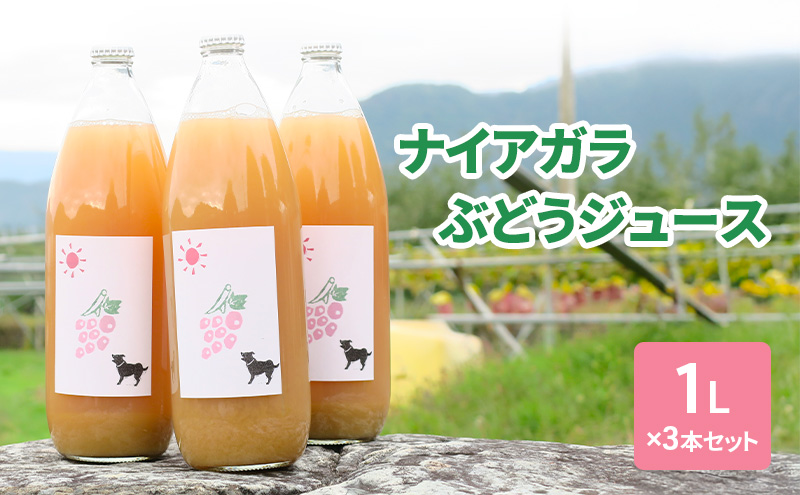 y쌧RmziCAKԂǂW[X1L×3{Zbg t[c 쌧