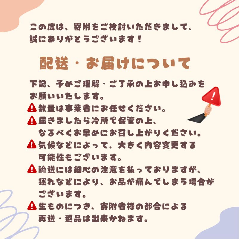 季節の野菜 野菜セットC 5種 キャベツ ブロッコリー さつまいも 長ねぎ 大根 詰合せ 季節 旬 野菜 詰め合せ 国産 産地直送 秋野菜 冬野菜 葉物 冷蔵 野菜室