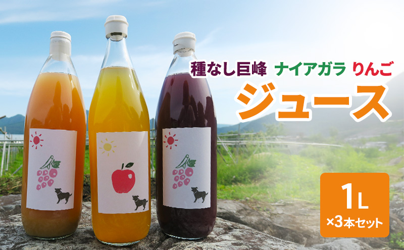 y쌧Rmz햳 iCAK 񂲃W[X1L×3{Zbg t[c 쌧