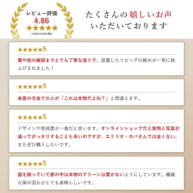 アートフラワー エミリオ・ロバ ギャザリングカラテア TTTTA06800