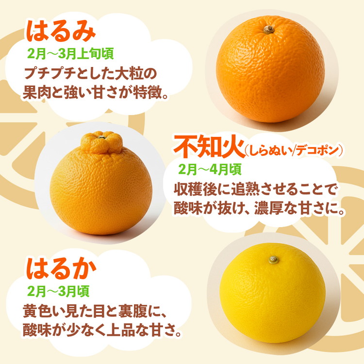 ＜1月より発送＞家庭用 柑橘詰合せ2.5kg+250g（傷み補償分）◇【訳あり・わけあり】【有田の春みかん詰め合わせ・フルーツ詰め合せ・オレンジつめあわせ】【光センサー選別】 ※北海道・沖縄・離島への配送不可 ※2026年1月上旬～4月下旬頃に順次発送予定