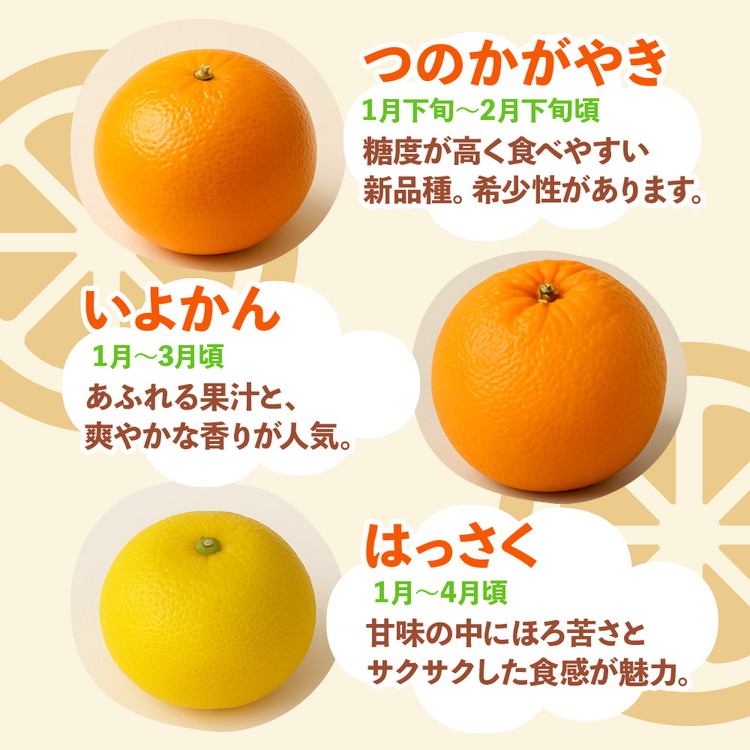 ＜1月より発送＞家庭用 柑橘詰合せ5kg+250g（傷み補償分）◇【訳あり・わけあり】【有田の春みかん詰め合わせ・フルーツ詰め合せ・オレンジつめあわせ】【光センサー選別】 ※北海道・沖縄・離島への配送不可 ※2026年1月上旬～4月下旬頃に順次発送予定
