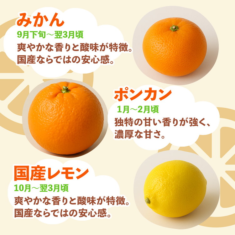 ＜1月より発送＞家庭用 柑橘詰合せ7.5kg+250g（傷み補償分）◇【訳あり・わけあり】【有田の春みかん詰め合わせ・フルーツ詰め合せ・オレンジつめあわせ】【光センサー選別】 ※北海道・沖縄・離島への配送不可 ※2026年1月上旬～4月下旬頃に順次発送予定