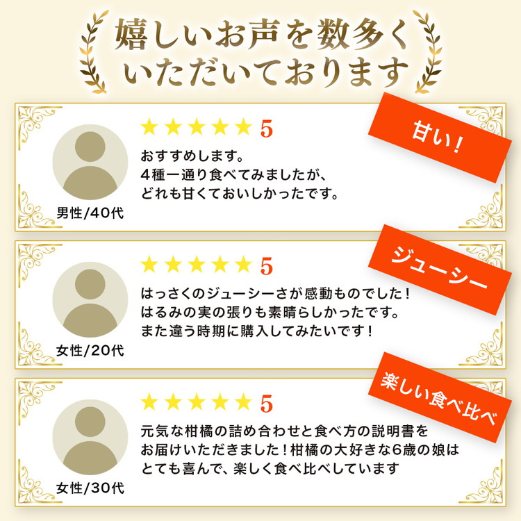 ＜1月より発送＞厳選 柑橘詰合せ2.5kg+250g（傷み補償分）◇【有田の春みかん詰め合わせ・フルーツ詰め合せ・オレンジつめあわせ】【光センサー選別】 ※北海道・沖縄・離島への配送不可 ※2026年1月上旬～4月下旬頃に順次発送予定