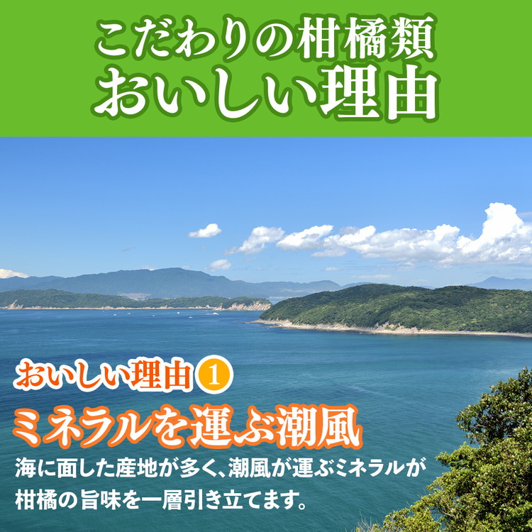 ＜1月より発送＞厳選 柑橘詰合せ2.5kg+250g（傷み補償分）◇【有田の春みかん詰め合わせ・フルーツ詰め合せ・オレンジつめあわせ】【光センサー選別】 ※北海道・沖縄・離島への配送不可 ※2026年1月上旬～4月下旬頃に順次発送予定