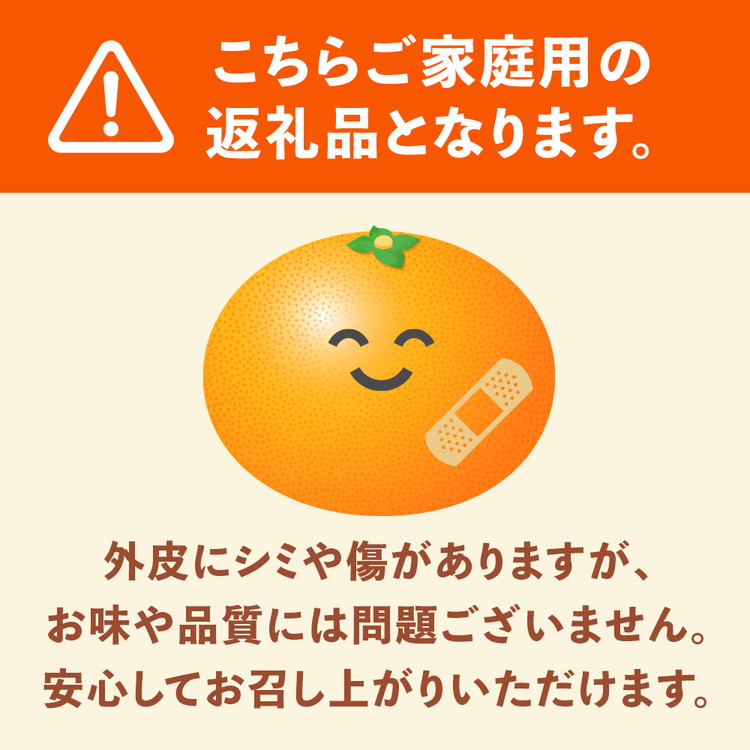 ＜1月より発送＞家庭用 柑橘詰合せ7.5kg+250g（傷み補償分）◇【訳あり・わけあり】【有田の春みかん詰め合わせ・フルーツ詰め合せ・オレンジつめあわせ】【光センサー選別】 ※北海道・沖縄・離島への配送不可 ※2026年1月上旬～4月下旬頃に順次発送予定