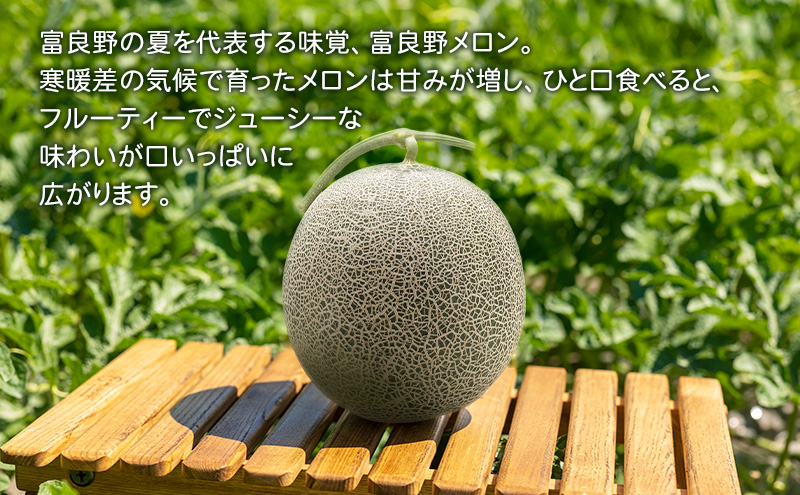 【2026夏発送】ふらのメロン 1玉 (2kg以上) 北海道 富良野産 メロン めろん 夏 果物 フルーツ ふらの 甘い 糖度 (畠山農園)