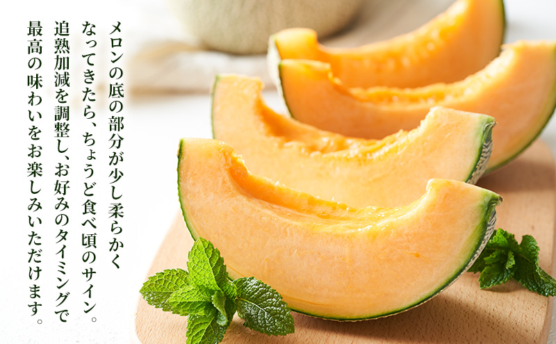 【2026夏発送】ふらのメロン 1玉 (2kg以上) 北海道 富良野産 メロン めろん 夏 果物 フルーツ ふらの 甘い 糖度 (畠山農園)