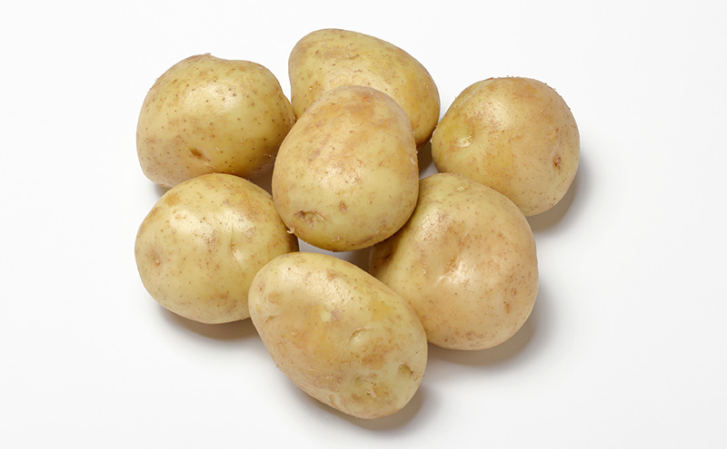 先行予約/2026年秋発送 北海道 十勝 幕別産 じゃがいも さやか 約10kg 【横山農園】 野菜 根菜 食材 しっとり 崩れにくい 煮込み料理 炒め物 肉じゃが カレー シチュー 北海道のジャガイモ