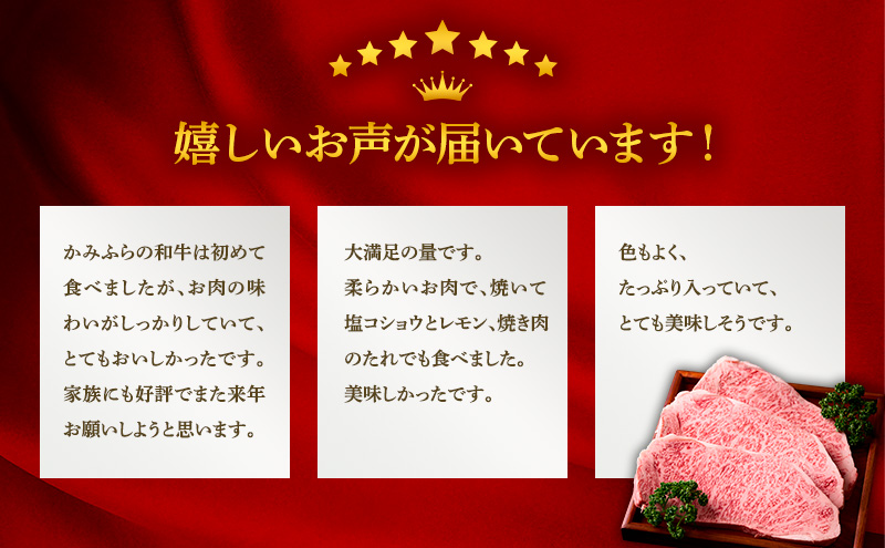 北海道上富良野町のふるさと納税 かみふらの和牛 サーロインステーキ 400g 牛肉  黒毛和牛 国産牛 高級肉 厚切り 贅沢 お取り寄せ 北海道産 希少部位 家族向け プレゼント ギフト BBQ 焼肉 農林水産賞受賞