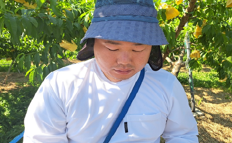 桃 2026年 先行予約  おかやま 夢白桃 今井さん家の「夢がたっぷりご家庭用」 約1.8kg 4～8玉 フルーツ 果物 岡山 赤磐市産