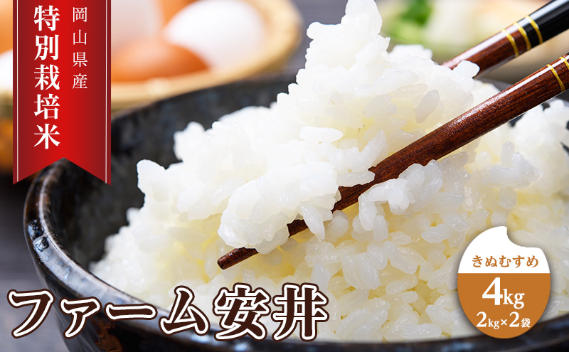 yRԔ֎sz y2025N11`\z ʍ͔| ʂނ 4kg (2kg×2)   RY t@[  CX  ɂ ٓ aH H Y Y  Yn S苭 ӂ _炩