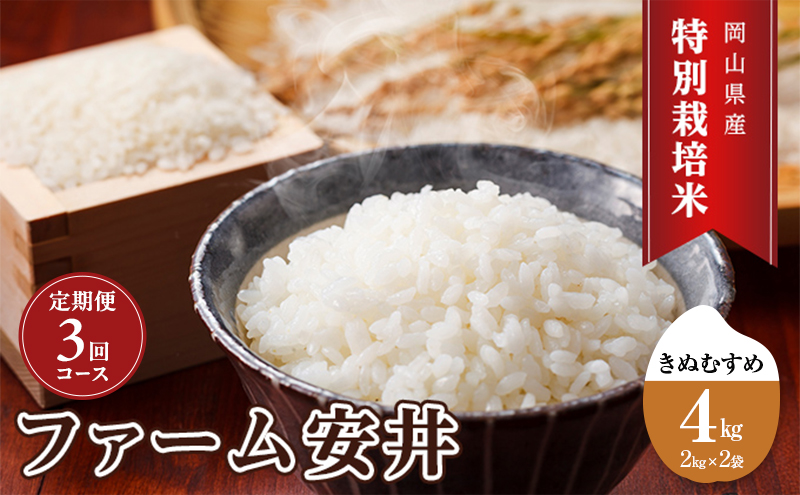 定期便 お米 【2025年11月～発送予定】 特別栽培米 きぬむすめ 4kg(2kg×2袋) 3ヵ月定期便 合計12kg 米 白米 岡山県産 ファーム安井 精米 ライス ご飯 おにぎり お弁当 和食 主食 国産 炭水化物 直送 産地直送
