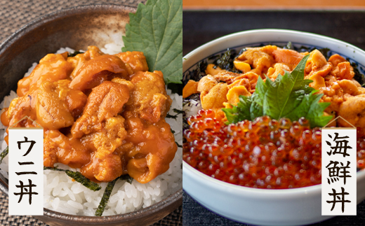 塩うに 240g (80g×3P) バフンウニ ミョウバン不使用 塩蔵うに ギフトセット