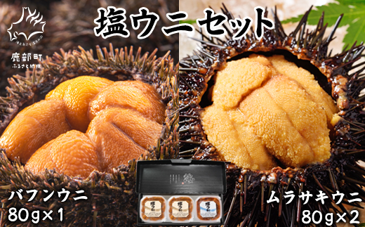 塩うに 計240g バフンウニ×1パック ムラサキウニ×2パック ミョウバン不使用 塩蔵うに ご飯のお供 ギフトセット