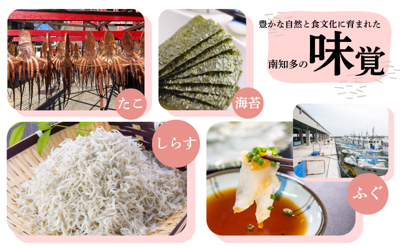 味付海苔 8本 島の香 篠島 味付けのり おつまみ 晩酌 肴 ご飯のお供 つまみ おかず おやつ人気 おすすめ 愛知県 南知多町