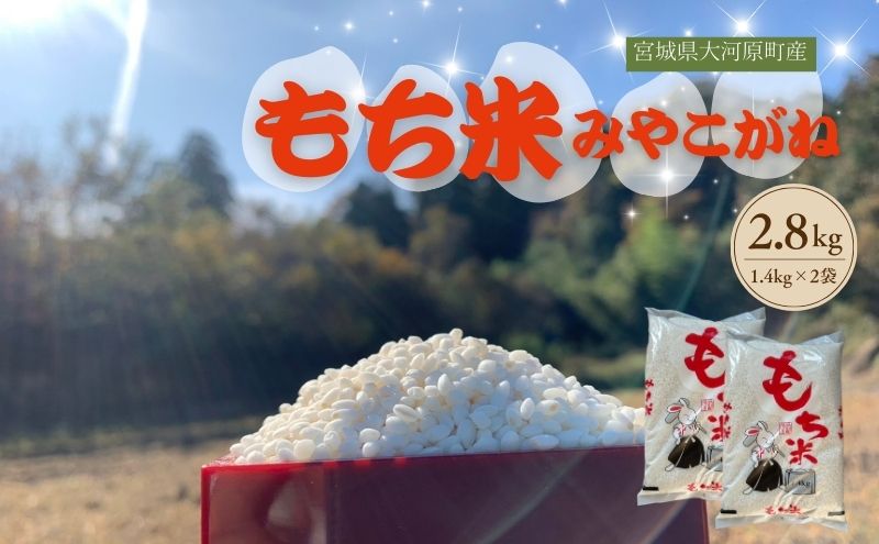 令和7年度産 宮城県大河原町産 みやこがね 2.8kg(1.4kg×2) もち米 餅米  こめ コメ モチ もち もち米 お餅 餅