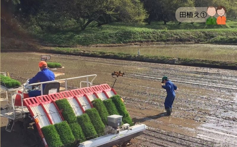 令和7年度産 宮城県大河原町産 みやこがね 2.8kg(1.4kg×2) もち米 餅米  こめ コメ モチ もち もち米 お餅 餅