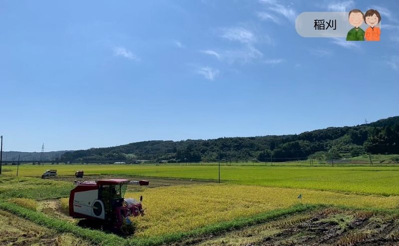 令和7年度産 宮城県大河原町産 みやこがね 2.8kg(1.4kg×2) もち米 餅米  こめ コメ モチ もち もち米 お餅 餅