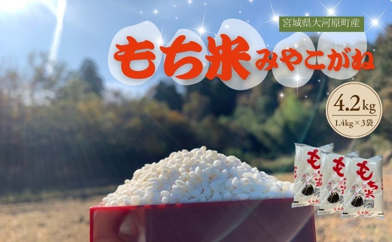 令和7年度産 宮城県大河原町産 みやこがね 4.2kg(1.4kg×3) もち米 餅米  こめ コメ モチ もち もち米 お餅 餅