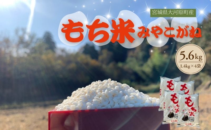 令和7年度産 宮城県大河原町産 みやこがね 5.6kg(1.4kg×4) もち米 餅米  こめ コメ モチ もち もち米 お餅 餅