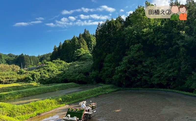 令和7年度産 宮城県大河原町産 みやこがね 5.6kg(1.4kg×4) もち米 餅米  こめ コメ モチ もち もち米 お餅 餅