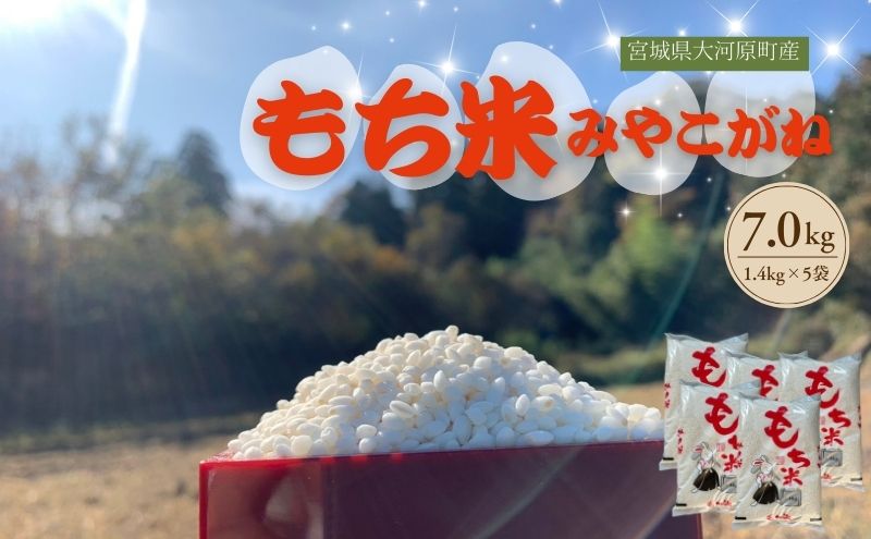 令和7年度産 宮城県大河原町産 みやこがね 7.0kg(1.4kg×5) もち米 餅米  こめ コメ モチ もち もち米 お餅 餅