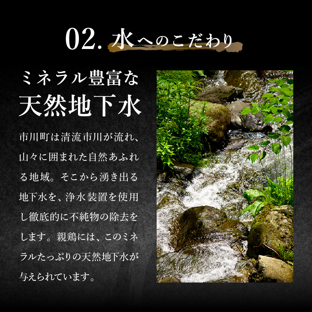兵庫県市川町のふるさと納税 【累計5,000パック突破！】たずみの「ひね鶏」スライス（スライス 200g×2パック）003AB01N. ／鶏肉 親鳥 鳥肉 とりにく ひねどり ひね鶏 チキン とり肉 にく もも 肉 モモ肉 胸肉 ムネ肉 セット 鶏むね肉 鍋 鍋用 親子丼 唐揚げ サラダ 筑前煮 焼き鳥 小分け 真空パック 国産 冷凍