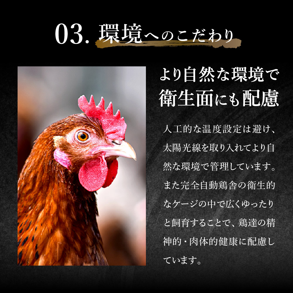 兵庫県市川町のふるさと納税 【累計5,000パック突破！】たずみの「ひね鶏」スライス（スライス 200g×2パック）003AB01N. ／鶏肉 親鳥 鳥肉 とりにく ひねどり ひね鶏 チキン とり肉 にく もも 肉 モモ肉 胸肉 ムネ肉 セット 鶏むね肉 鍋 鍋用 親子丼 唐揚げ サラダ 筑前煮 焼き鳥 小分け 真空パック 国産 冷凍