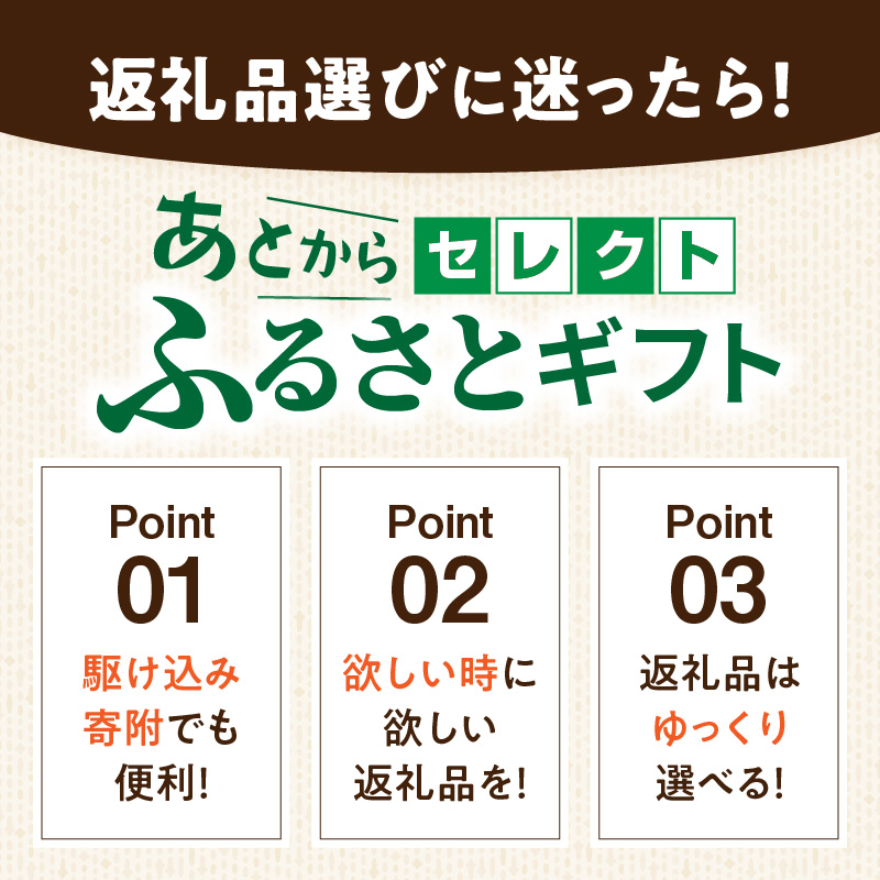 愛知県小牧市のふるさと納税 【小牧市ふるさと納税】あとからセレクト【ふるさとギフト】100,000円［AS19］