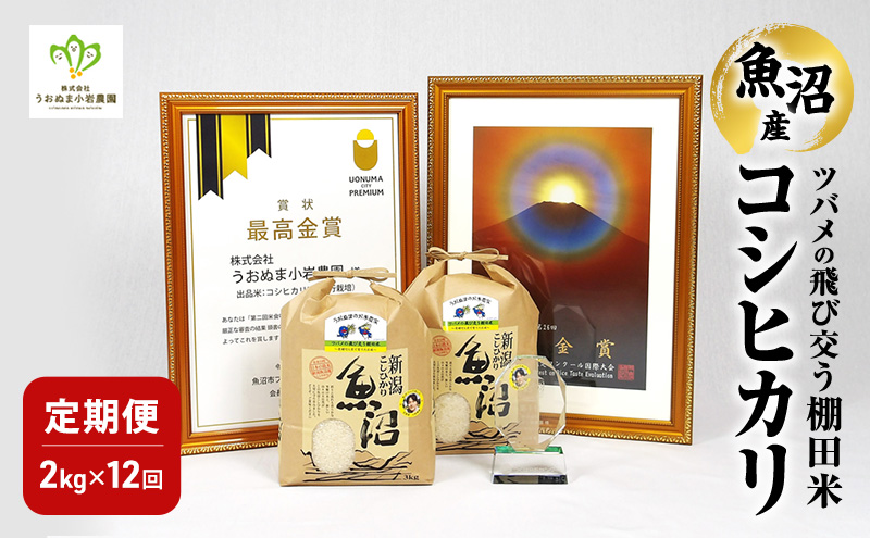 精米 ツバメの飛び交う棚田米 2kg×1袋