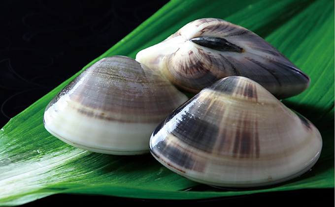 九十九里特産　九十九里地はまぐり　1kg 魚貝類 蛤栄養素 ミネラル 肉厚 高級食材 焼はま 酒蒸し お鍋 