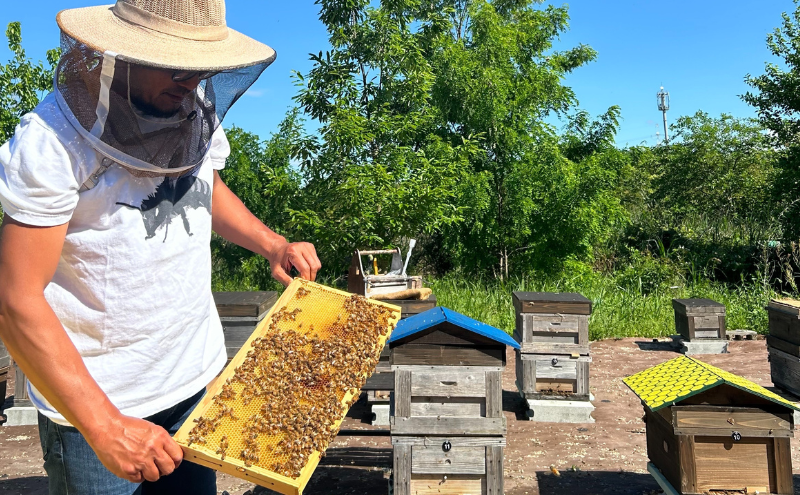 生はちみつ　百花蜂蜜　180g×2本　はちみつ ハチミツ 蜂蜜 天然 国産 酵素 非加熱 純粋 保存食 非常食 日進市 愛知県