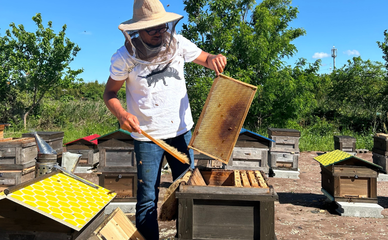 生はちみつ　百花蜂蜜　180g×2本　はちみつ ハチミツ 蜂蜜 天然 国産 酵素 非加熱 純粋 保存食 非常食 日進市 愛知県
