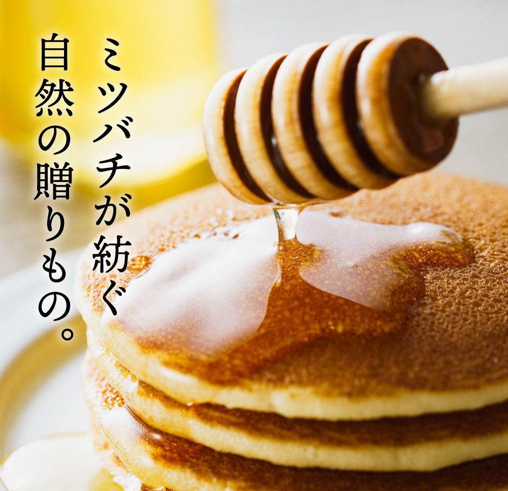 兵庫県市川町のふるさと納税 【2025年採蜜】 完熟はちみつ　300g（藤岡養蜂園） 　008FY01N. ／ 完熟 熟成 天然 ハチミツ 養蜂 蜂蜜 ミツバチ しりばり 瓶 チューブ 選べる
