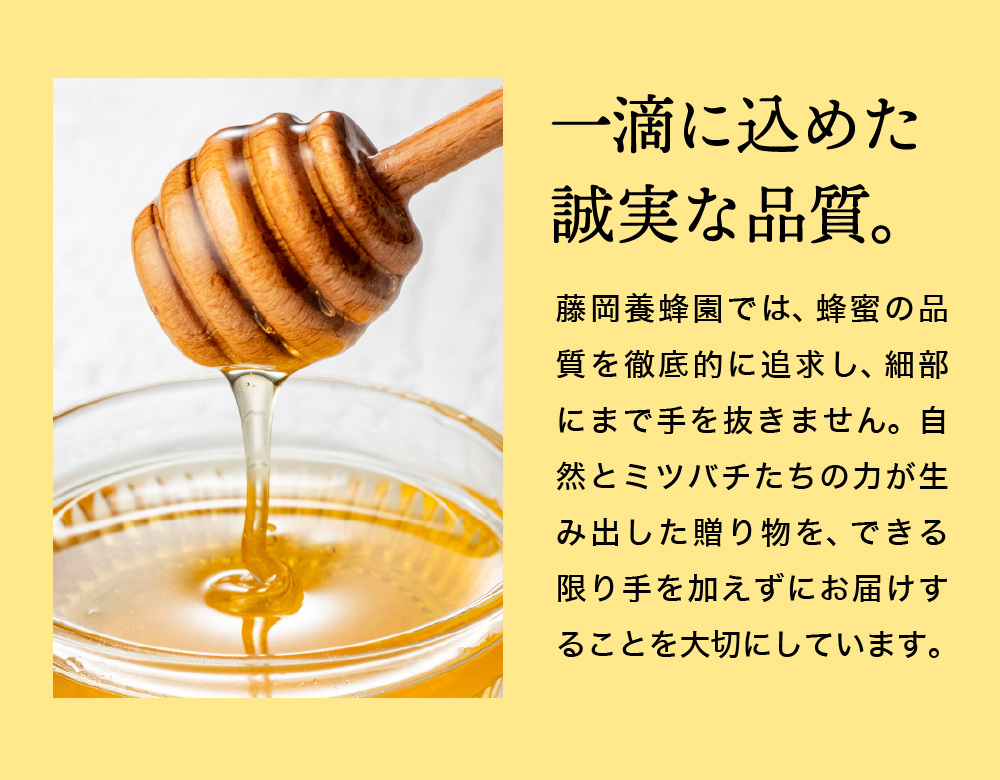 兵庫県市川町のふるさと納税 【2025年採蜜】 完熟はちみつ　300g（藤岡養蜂園） 　008FY01N. ／ 完熟 熟成 天然 ハチミツ 養蜂 蜂蜜 ミツバチ しりばり 瓶 チューブ 選べる