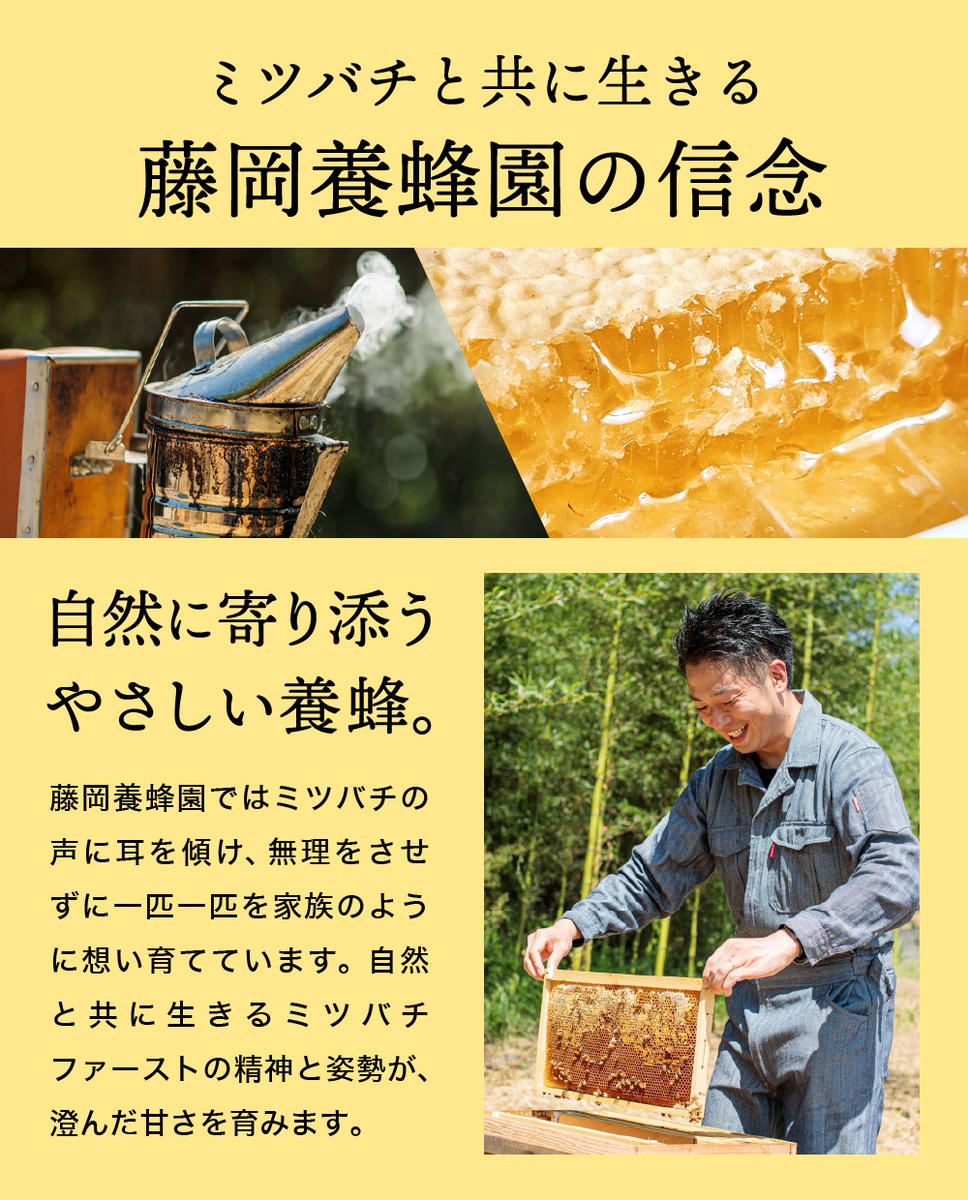 兵庫県市川町のふるさと納税 【2025年採蜜】 完熟はちみつ　300g（藤岡養蜂園） 　008FY01N. ／ 完熟 熟成 天然 ハチミツ 養蜂 蜂蜜 ミツバチ しりばり 瓶 チューブ 選べる