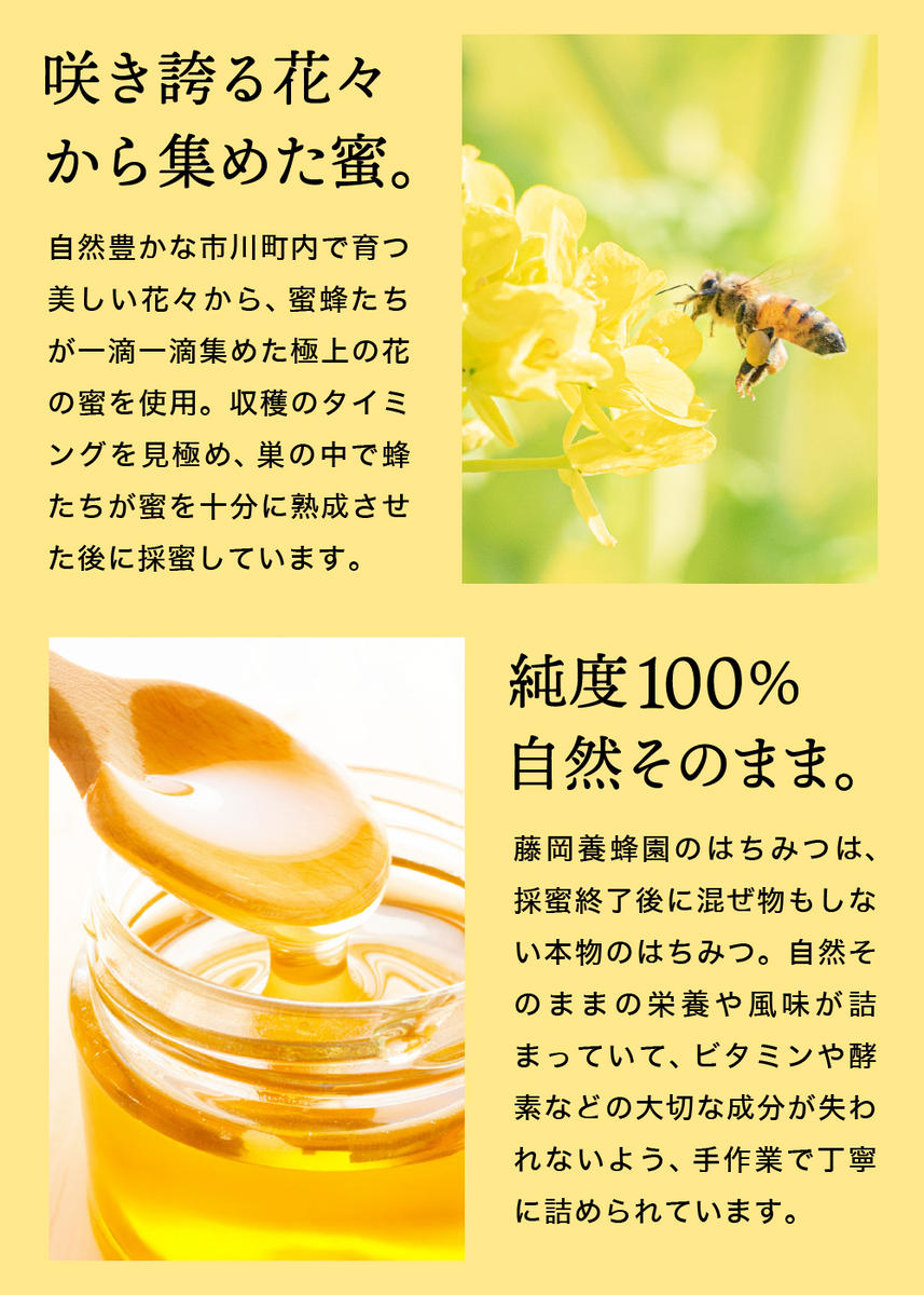 兵庫県市川町のふるさと納税 【2025年採蜜】 完熟はちみつ　300g（藤岡養蜂園） 　008FY01N. ／ 完熟 熟成 天然 ハチミツ 養蜂 蜂蜜 ミツバチ しりばり 瓶 チューブ 選べる