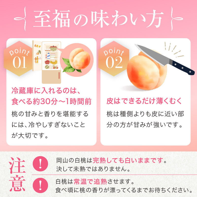 桃 2026年 先行予約 赤磐の 白桃 約2.0kg 6～8玉 JA晴れの国 糖度センサー選果 もも モモ 岡山県 赤磐市産 国産 フルーツ 果物 ギフト デザート 果肉 