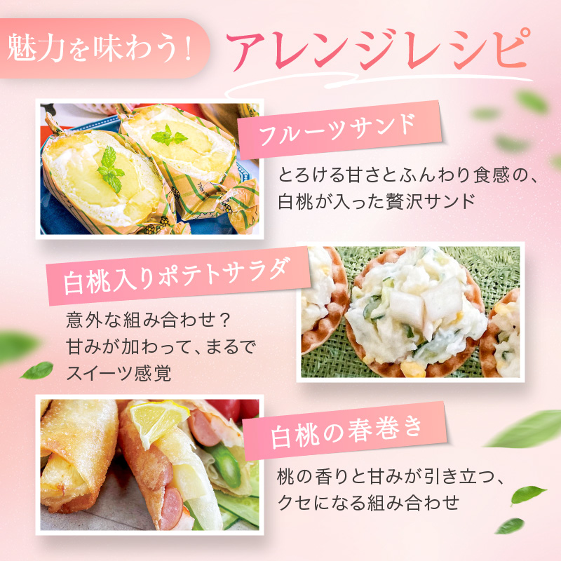 桃 2026年 先行予約 赤磐の 白桃 約2.0kg 6～8玉 JA晴れの国 糖度センサー選果 もも モモ 岡山県 赤磐市産 国産 フルーツ 果物 ギフト デザート 果肉 