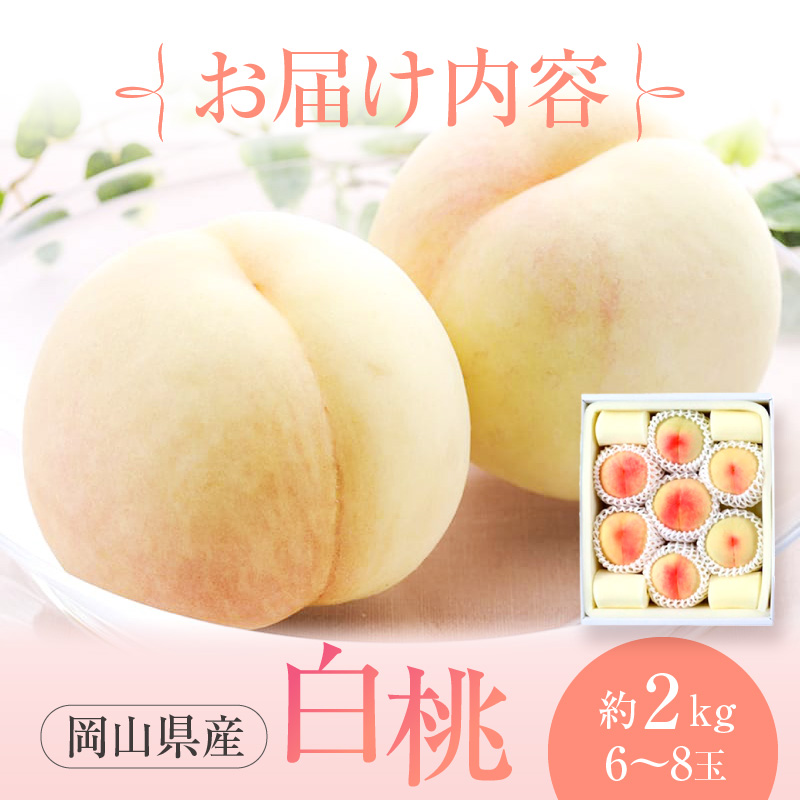 桃 2026年 先行予約 赤磐の 白桃 約2.0kg 6～8玉 JA晴れの国 糖度センサー選果 もも モモ 岡山県 赤磐市産 国産 フルーツ 果物 ギフト デザート 果肉 