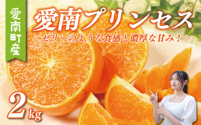 愛南 プリンセス 2kg サイズミックス 15000円 みかん 愛果48号 まどんな と 甘平 を交配 高級 人気 ブランド 柑橘 果物 フルーツ 紅プリンセス と 同一品種 数量限定 期間限定 産地直送 国産 農家直送 特産品 お取り寄せ ギフト プレゼント mikan 蜜柑 ミカン ぷりんせす 甘い おいしい ゼリー ぷるぷる 果樹園みどり 愛南町 愛媛県