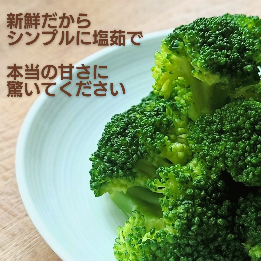 ブロッコリー 約2kg 朝採れ 当日 発送 新鮮 採れたて 産地直送 農家直送 国産 野菜 シャキシャキ 食感 茎 まで 甘い 栄養満点 ご家庭用 サラダ スープ お弁当 彩り野菜 旬 の 味覚 離乳食 食事管理中 に おすすめ 緑黄色野菜 冷凍 保存 可能 ストック 便利 人気 期間限定 旬 の 味覚 食卓 へ 愛媛県 愛南町 愛なんよ