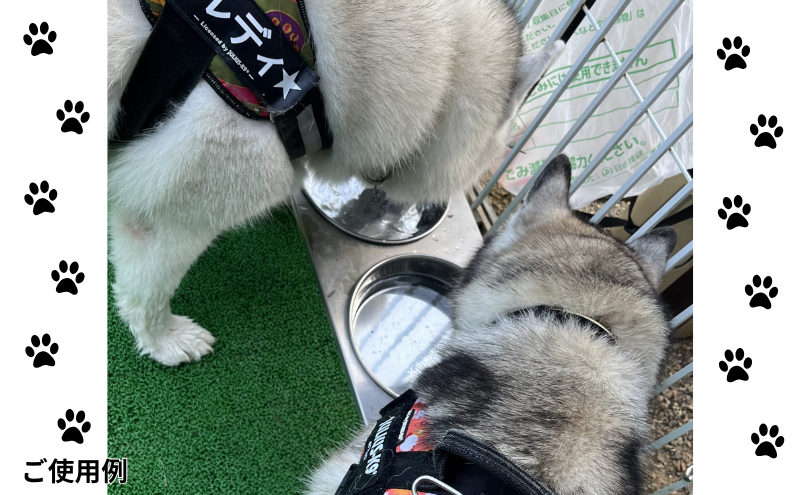 ごはん台 大きなわんちゃんのごはん台（小） ペット ペット用品 犬 テーブル 食事 給水 エサ台 オールステンレス 日進市 愛知県