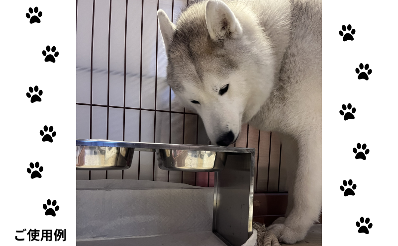 ごはん台 大きなわんちゃんのごはん台（大） ペット ペット用品 犬 テーブル 食事 給水 エサ台 オールステンレス 日進市 愛知県
