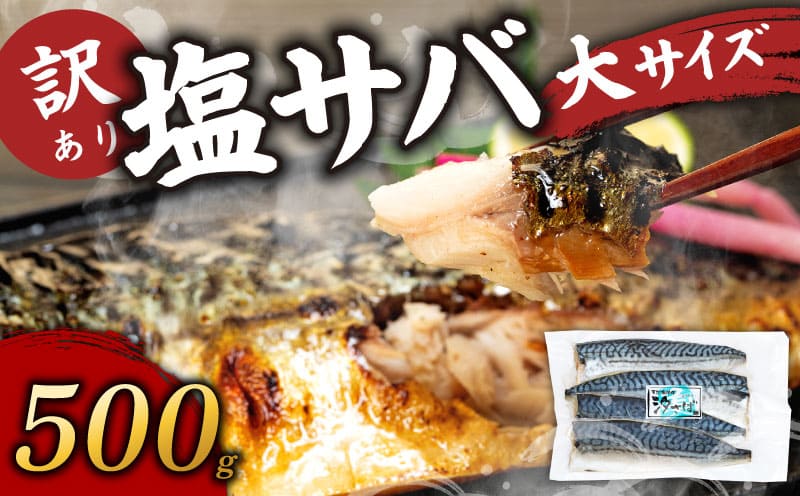 【愛知県南知多町】訳あり塩サバ フィレ500g
