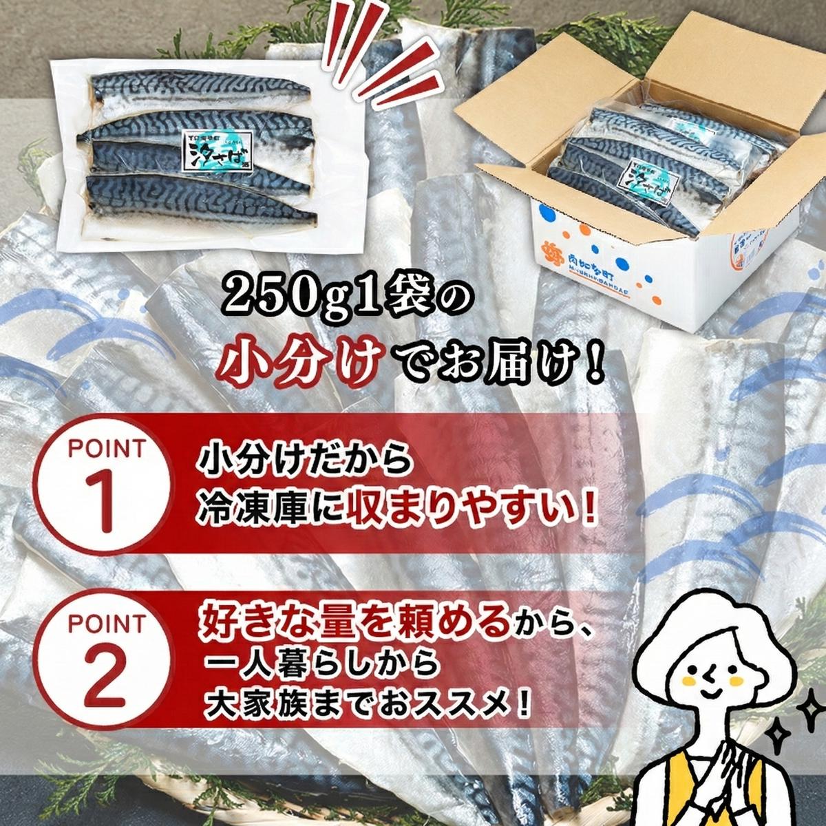 訳あり塩サバ フィレ250g