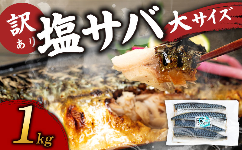 訳あり塩サバ フィレ1kg