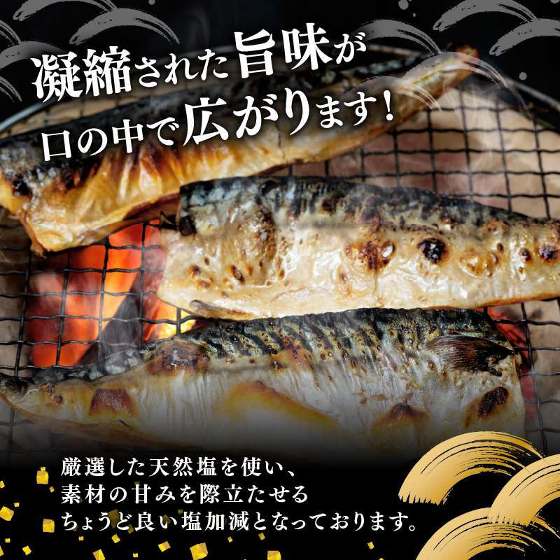 訳あり塩サバ フィレ3kg