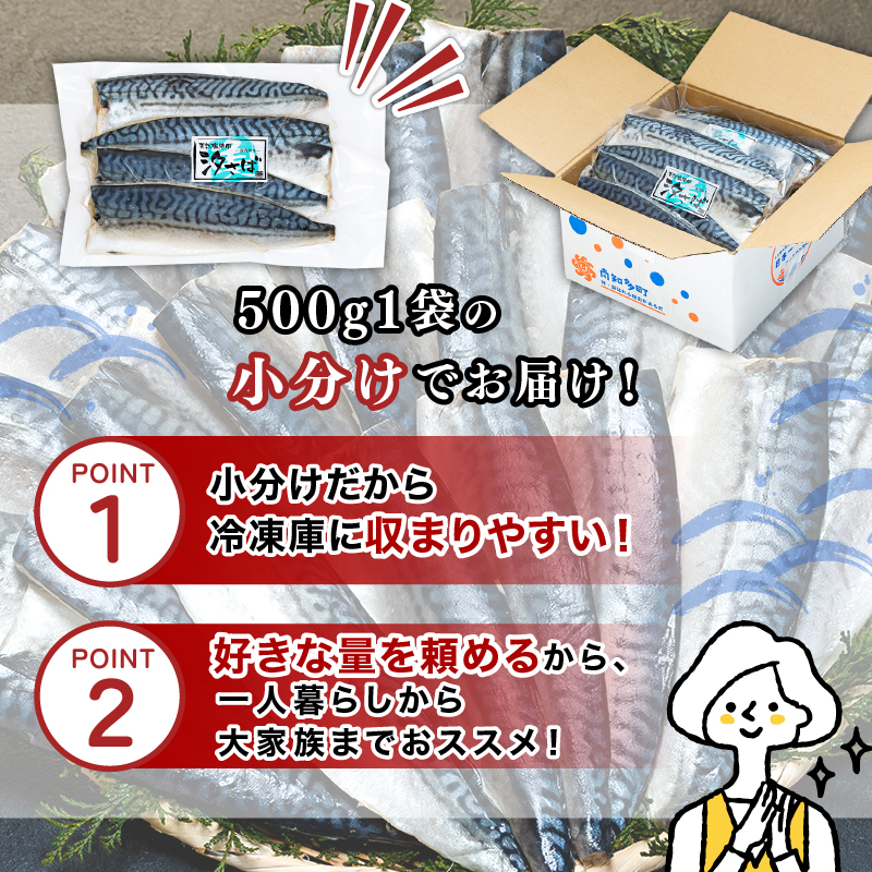 訳あり塩サバ フィレ3kg
